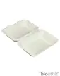 rectangular sandwich box